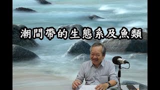 〈海洋講堂系列〉-中央研究院 邵廣昭老師，談潮間帶的生態系及魚類