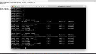 6. Create Qtree using NetApp ONTAP API