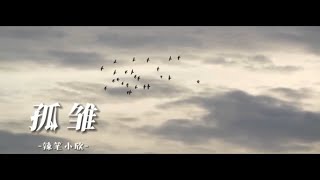 辣筆小欣 - 《孤雏》『无情人做对孤雏 暂时度过坎坷 苦海中不至独处至少互相依赖过』【无损音质动态歌词~】