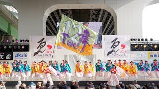 [4K] １２Ｔｗｅｌ舞　泉州YOSAKOI ゑぇじゃないか祭り 2019