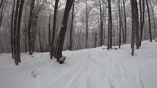 Harvey's Road at Titus Mountain