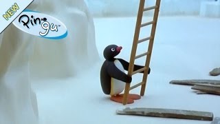 Pingu's Disadvantage - Pingu Official Channel