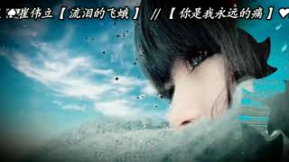 崔伟立 \u0026 陈瑞 【🎶流泪的飞蛾 // 你是我永远的痛🎶】DJ 版《高清无損音質版1080p》