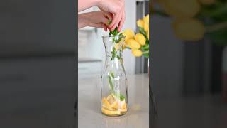 lemon 🍋 mint 🌱 infused water