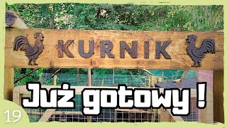 Nowy Kurnik - Domowy Zwierzyniec 19