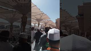 Ya Allah Semoga Yang Subscribe Channel Ini Bisa Segera Umroh Haji Ke Tanah Suci Makkah Madinah