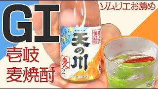 ＃051 【蒸留酒】GI壱岐 麦焼酎 お湯割り