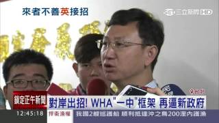 WHA邀請函來了！附一中但書　綠委：給台灣穿小鞋│三立新聞台