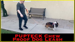 Pupteck Chew Proof Dog Leash || MumblesVideos Product Review