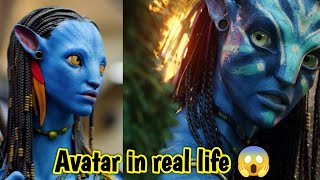 Avatar movie people's in real life | paul karason | TF Tamil | #avatar #avatar2