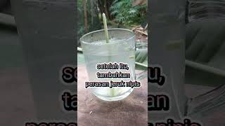 manfaat rebusan sereh dan jeruk nipis #kesehatan #manfaat #minuman #info #sehat #khasiat #tips