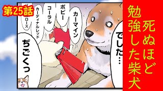 【第25話】死ぬほど勉強した柴犬【世界の終わりに柴犬と】