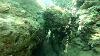 Snorkeling Paradise Lagoon, Atlantis