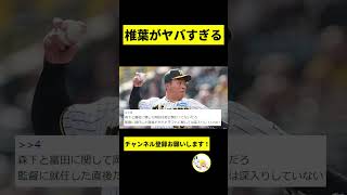 【阪神】椎葉がヤバすぎるｗｗｗｗｗｗｗｗｗｗｗｗｗｗ【2chスレ】