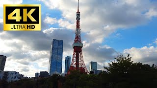 【4K】Shiba park（Tokyo Tower） in Tokyo  - JAPAN Noon Walk // 4K Special Movie