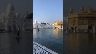 DARSHAN = Golden Temple | Amritsar Golden Temple | Shri Harminder Sahib | Swarn Mandir Amritsar