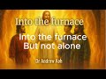 INTO THE FURNACE