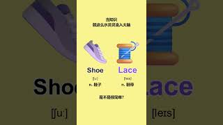 英语单词词汇速记 shoelace #learnenglish