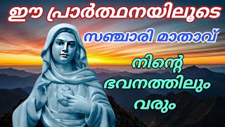 സഞ്ചാരി മാതാവ് നിന്റെ ഭവനത്തിലും വരും 🙏 ആവേ മരിയ 🙏 27/01/25 #kripasanam  #kreupasanam #കൃപാസനം