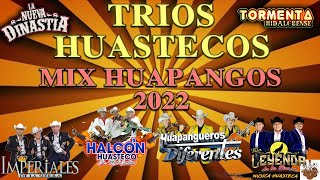 🎻Trio Huastecos Huapangos 2022 Mix🔥Halcon Huasteco, Imperiales De La Sierra, Huapangueros Diferentes