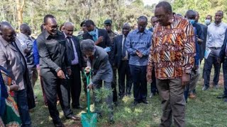 MIMI NDIO KUSEMA. See Uhuru Kenyatta, Mama Margaret, Matiangi, Raila planting tree today