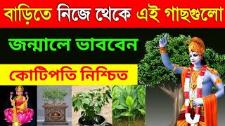 শ্রীকৃষ্ণ বলেন : বাড়ির সামনে নিজে থেকে এই গাছগুলো জন্মালে আপনি খুবই ভাগ্যশালী | krishna Vastu