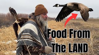 Food From The Land | Primitive Bow Hunting #hunting #survival #goose #archery #bowhunting #outdoors