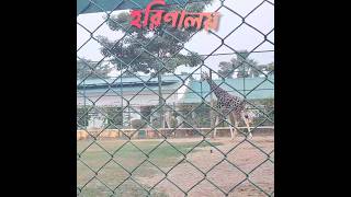 ইকোপার্কে চিড়িয়াখানা 🤗 | Harinalaya | Deer Park in Kolkata | Eco Park | Mini Zoo at Newtown Kolkata