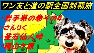 岩手県の巻その4  びびりワンコと「道の駅」全国制覇達成を目指す旅チャンネル   現在452件達成済　 　　①さんりく　②釜石仙人峠　③種山が原　ミニチュアシュナウザー・4才の女の子同伴