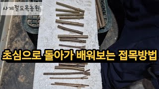 초심으로 돌아가 배우는 접목방법