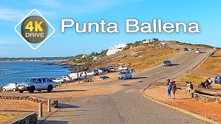 4K DRIVE Punta Ballena URUGUAY 4k video Driving travel vlog