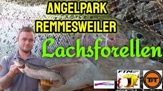 Lachsforellen | Angelpark Remmesweiler 🎣 Schöne Lachsforellen trotz Beißflaute #Forellenangeln 🎣