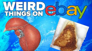 10 of the WEIRDEST Things EVER Sold on EBAY