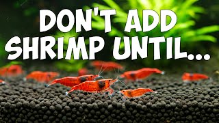 The DEADLY Consequences of Adding Cherry Shrimp Too Soon