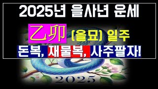 2025년 운세! 태어난 사주가 乙卯(을묘) 일주들의 전반적인 운세 및 반드시 조심(?)해야 하는 것들..