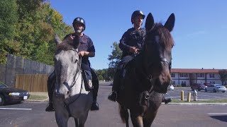 RPD Mounted Patrol uses horses to establish community relationships