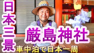 【日本三景】厳島神社（広島県廿日市）おとなしい鹿を撫でられるよ！