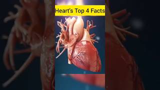 Top 4 Facts about Human Heart #viral #shorts #short