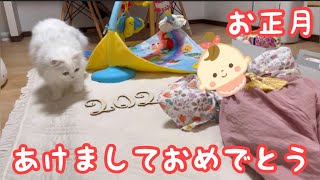 【2023年】もふ猫と赤ちゃん初めてのお正月