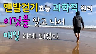 맨발걷기 효능의 과학적 원리, 알기쉽게 정리! /맨발걷기 항산화.항염증효과의 원리/Earthing