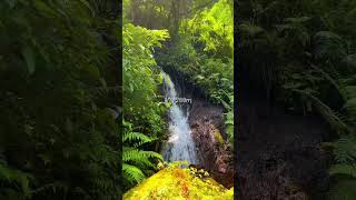 【キングダムロケ地】鹿児島絶景