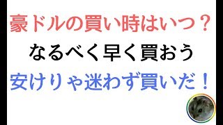 【豪ドルの買い時はいつ？】なるべく早く買おう！為替レートが安けりゃ迷わず買いだ！