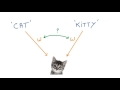 Semantic Ambiguity