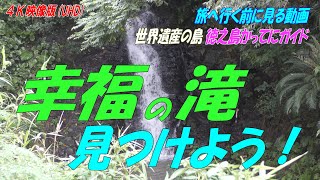 世界遺産の島【徳之島】の穴場スポット！「幸福の滝」