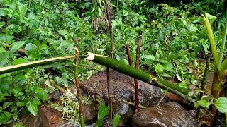 វិធីការពារសត្វព្រៃ/The technique to prevent wild animals