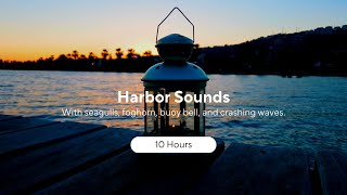 Harbor Sounds with Seagulls Foghorn Buoy Bell Crashing Waves | 10 Hours
