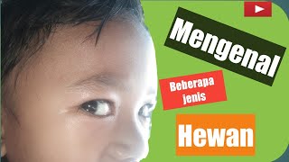 Mengenal beberapa hewan