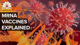 How mRNA Vaccines Revolutionized Medicine | CNBC Marathon