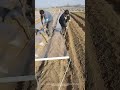 daily farm work tillage and maintenance