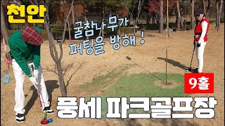 천안 명물!! 호두과자의 도시 / 숲속의 아담하고 조용한 천안시 풍세 파크골프장 / 43번 국도변 / 장애우 회원님과의 인터뷰